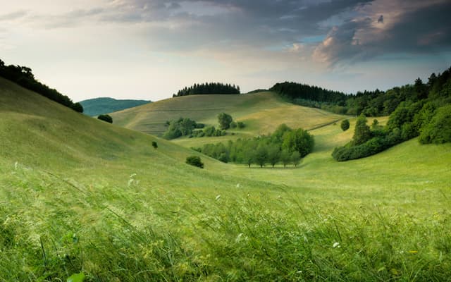 Startup image